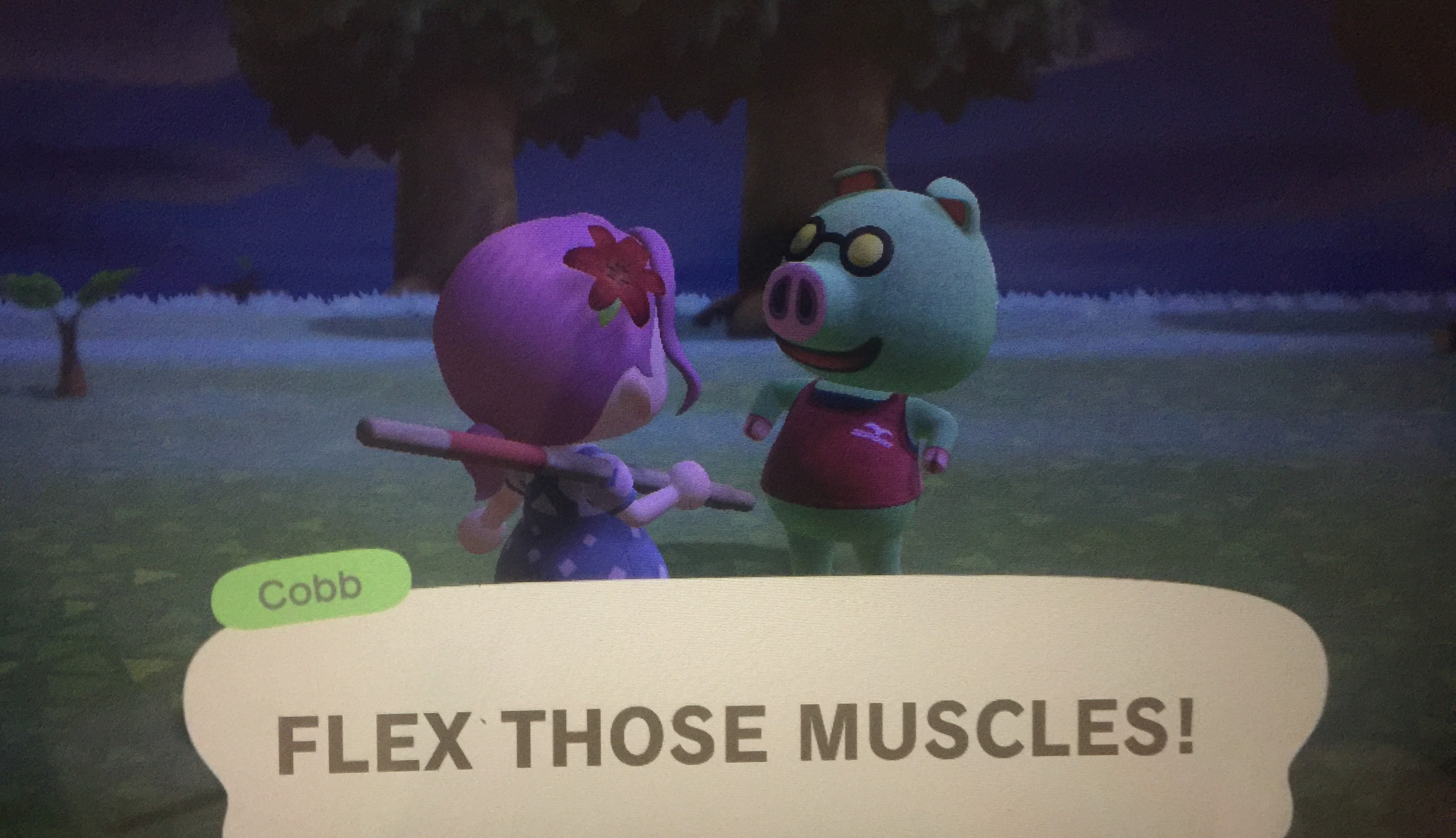 FLEX!