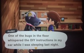Rodeo has bugs on his floor that whisper recipes in his ear while he sleeps